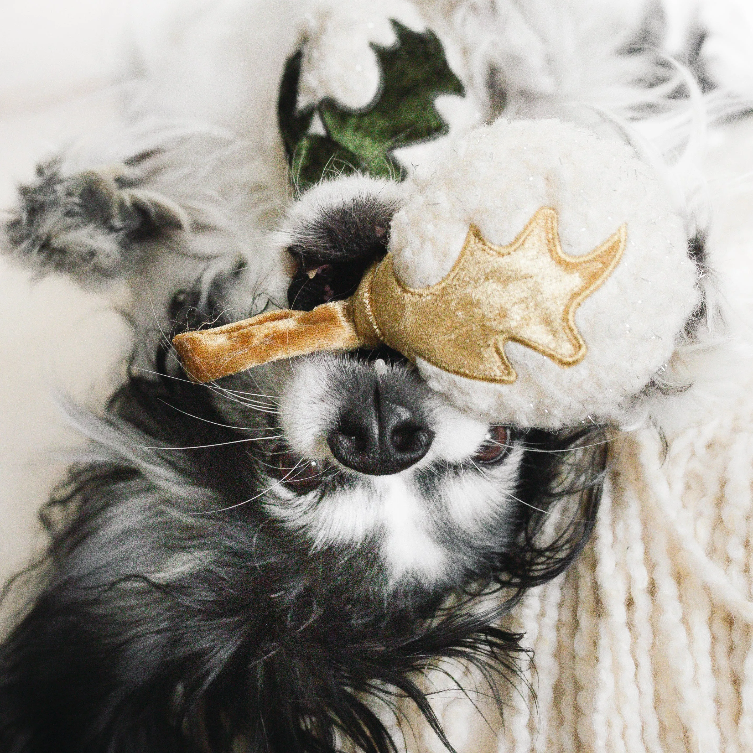 Xmas Blubs